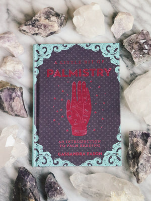 Little Bit of Palmistry An Introduction to Palm Reading