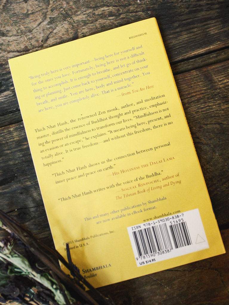 You are Here Thich Nhat Hanh