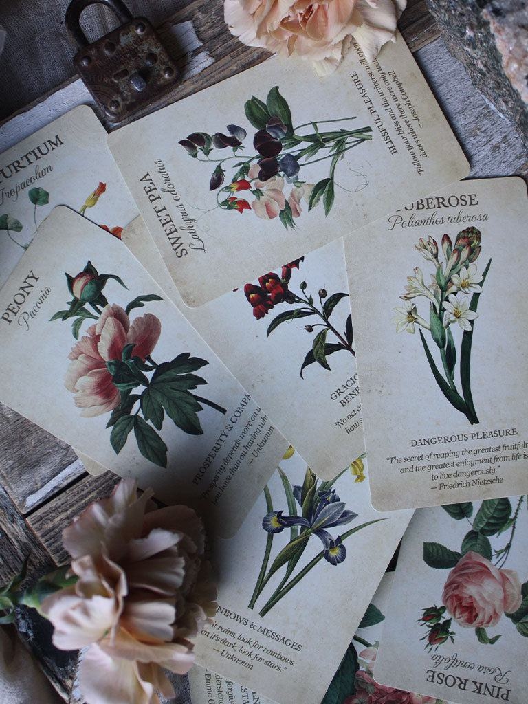 Botanical Inspirations Deck + Book Set