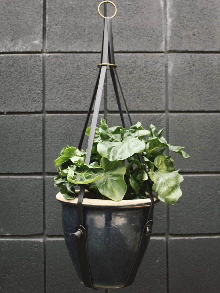 Buckled Up Vegan Leather Plant Hangers