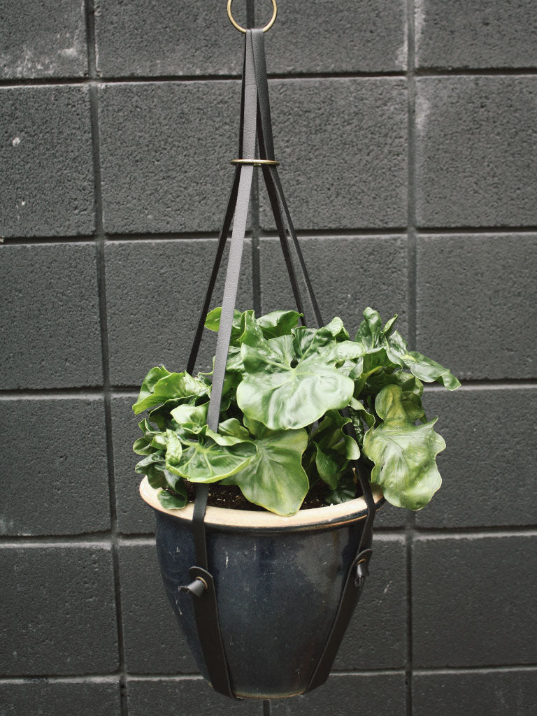 Buckled Up Vegan Leather Plant Hangers