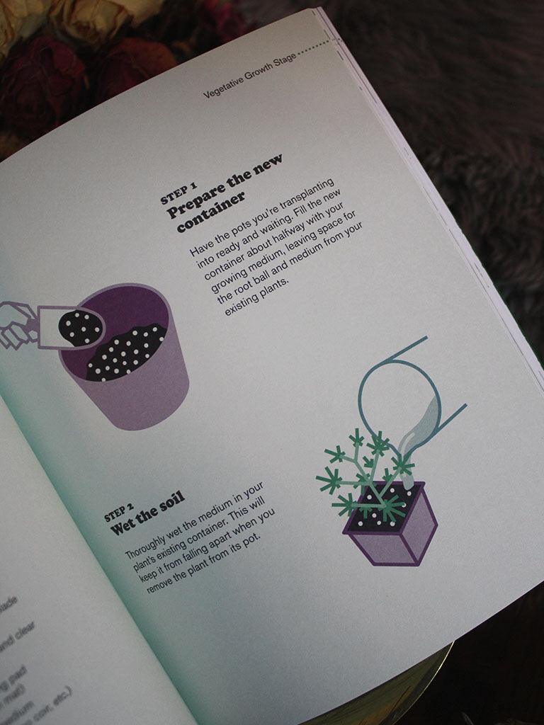 Cannabis - Beginners Guide to Growing