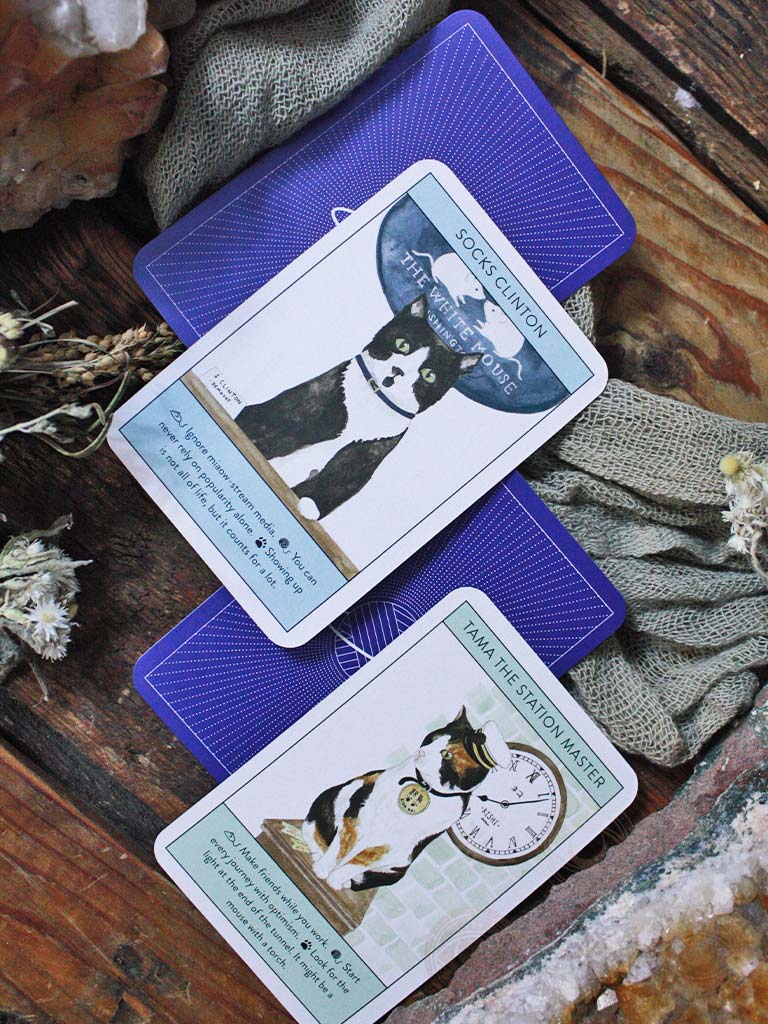 Cat Gurus - Wisdom from the World's Most Celebrated Felines