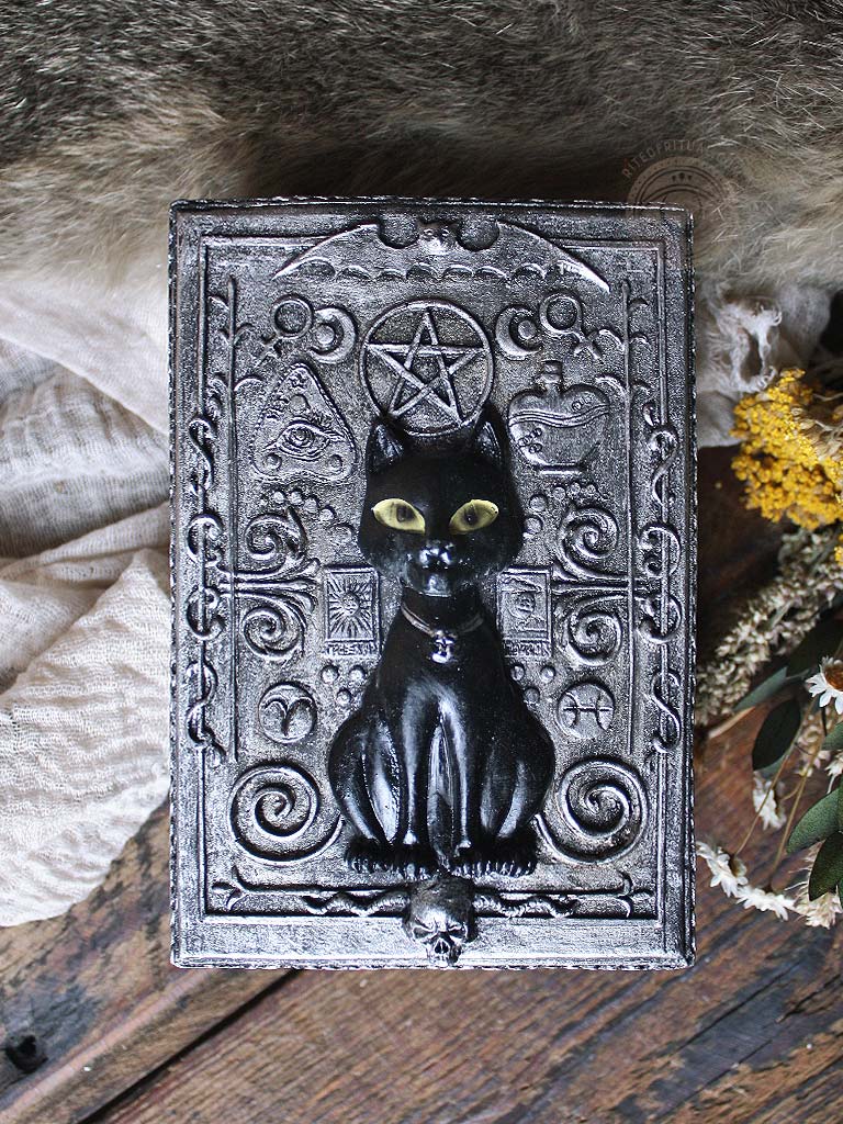 Cat + Pentacle Tarot Box