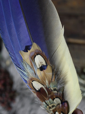 Ceremonial Feather Fans