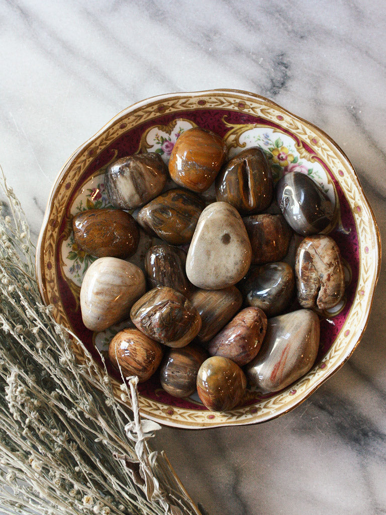 Tumbled Petrified Wood