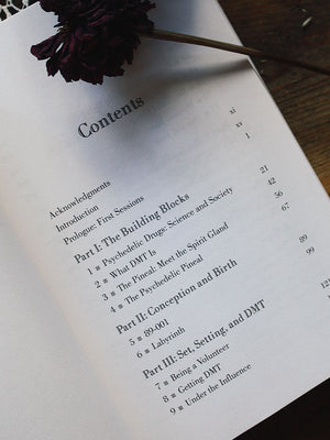 DMT - The Spirit Molecule