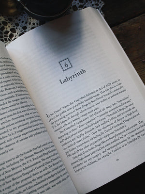 DMT - The Spirit Molecule