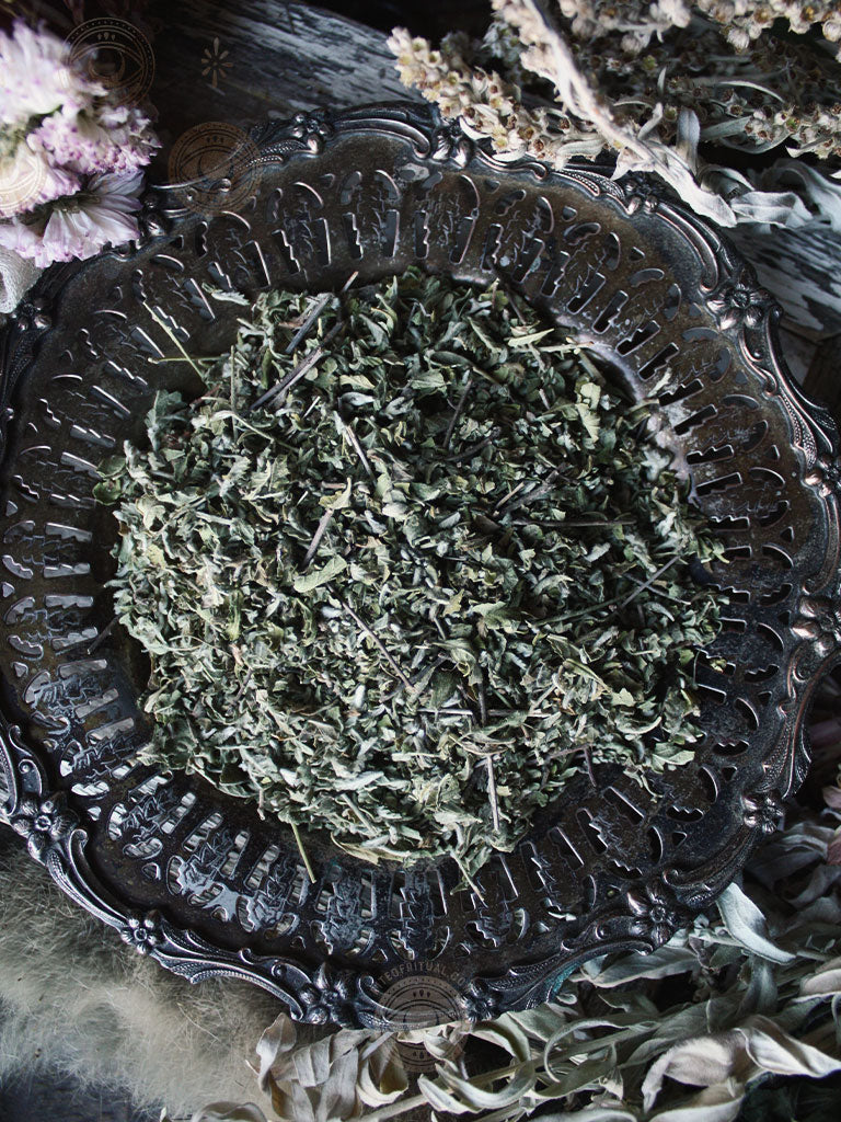 Ritual Herbs - Damiana Leaf