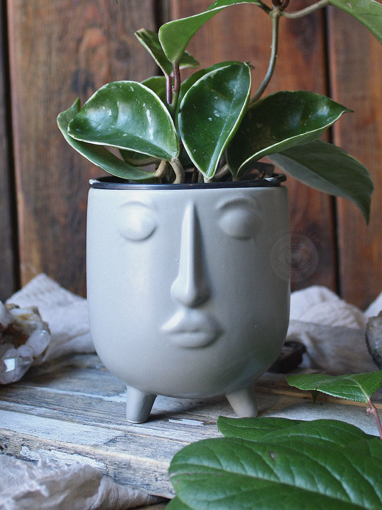 ceramic face planter pot Daydreamer Ceramic Face Planters