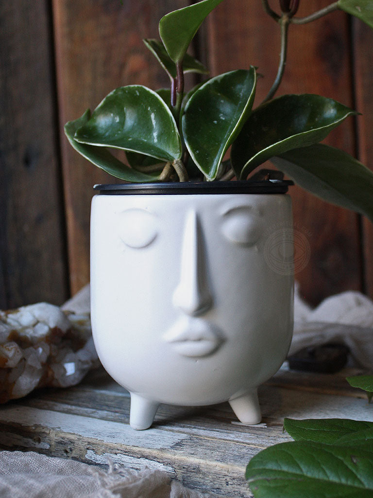 Daydreamer Ceramic Face Planters