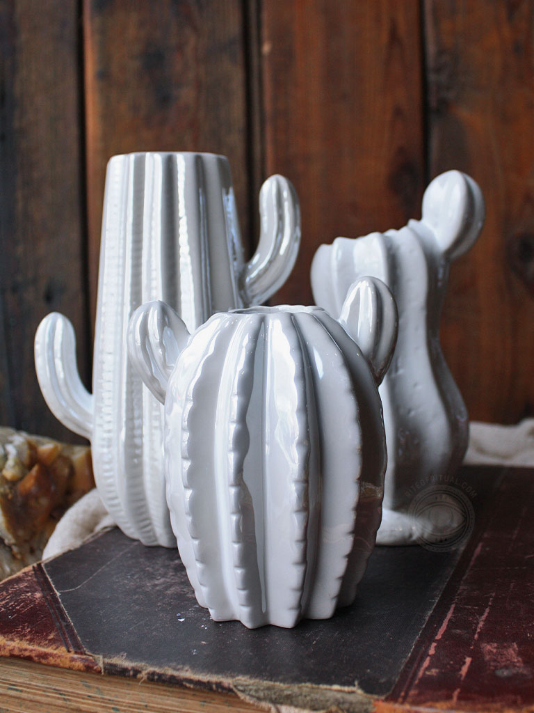 Desert Snow Cactus Vases