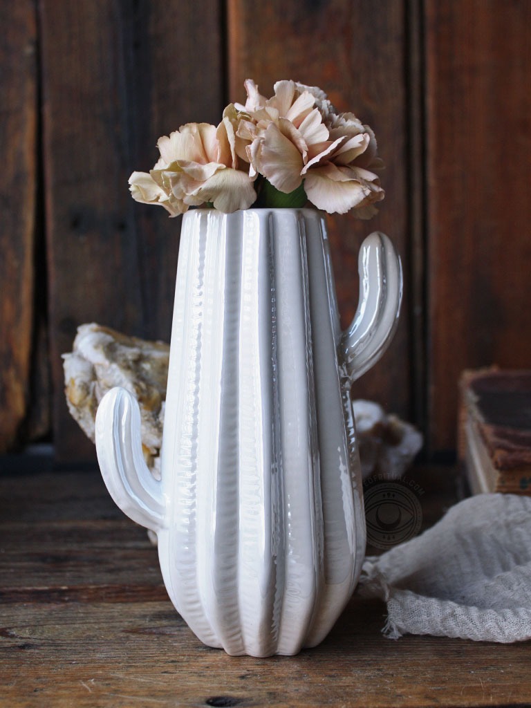 Desert Snow Cactus Vases
