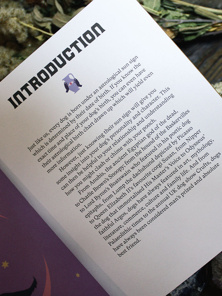 Dog Astrology - Decode Your Pet's Personality with the Power of the Zodiac