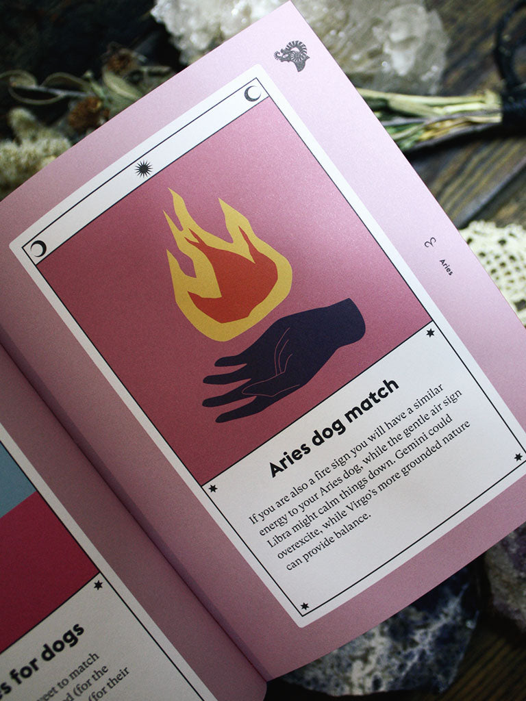 Dog Astrology - Decode Your Pet's Personality with the Power of the Zodiac