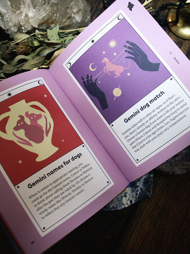 Dog Astrology - Decode Your Pet's Personality with the Power of the Zodiac