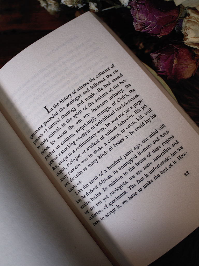 Doors of Perception - Aldous Huxley