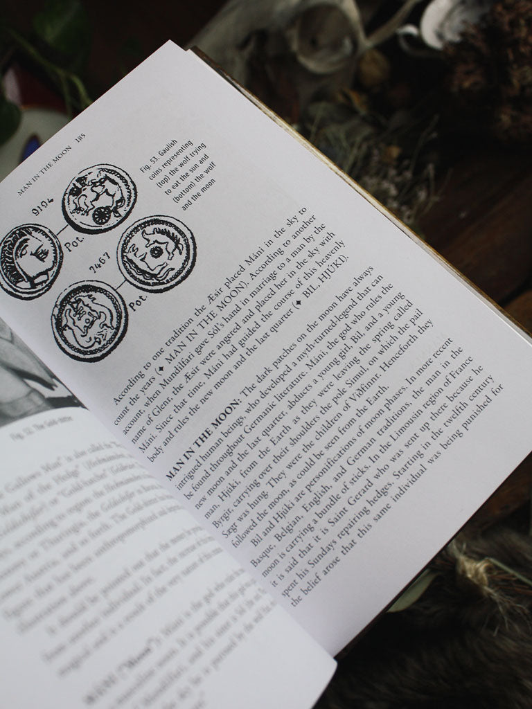 Encyclopedia of Norse Germanic Folklore Mythology and Magic