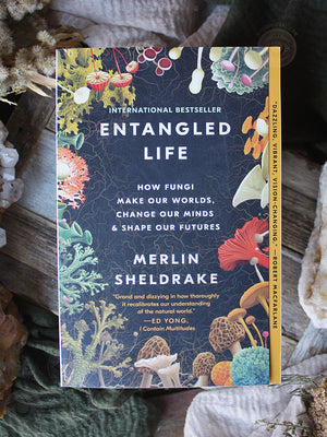 Entangled Life - How Fungi Make Our Worlds, Change Our Minds + Shape Our Futures