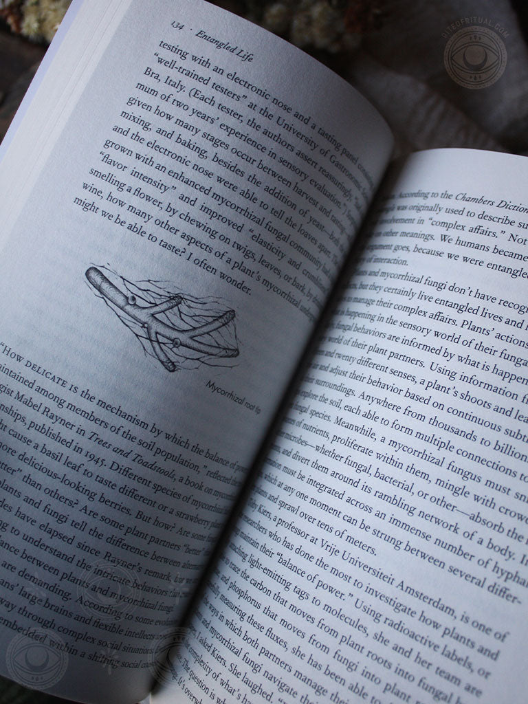 Entangled Life - How Fungi Make Our Worlds, Change Our Minds & Shape Our Futures