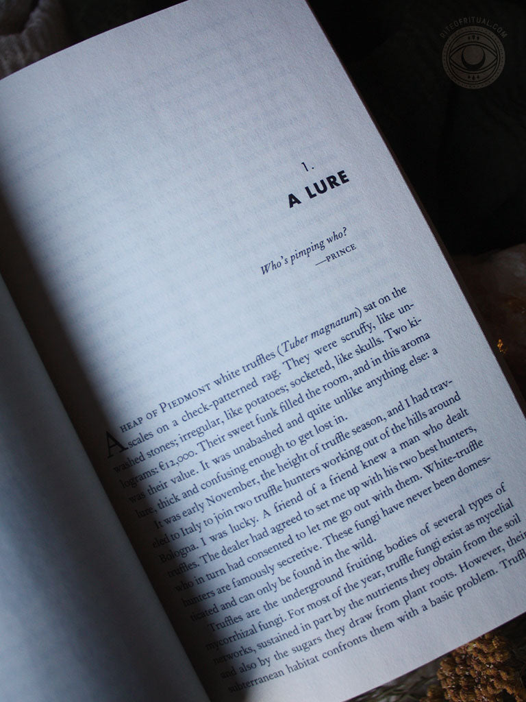 Entangled Life - How Fungi Make Our Worlds, Change Our Minds & Shape Our Futures