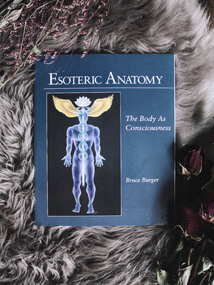 Esoteric Anatomy - The Body as Consciousness