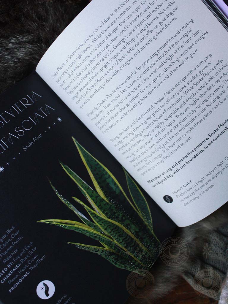 magical properties of snake plant Everyday Plant Magic - Change Your Life Through the Magical Energy of