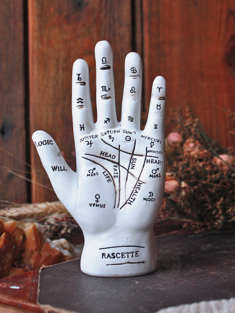 Fortune Teller Palms