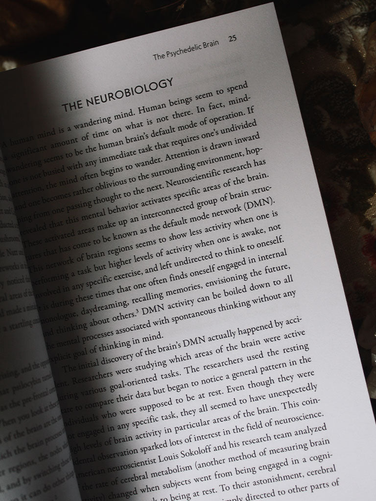 Grandmother Ayahuasca - Plant Medicine and the Psychedelic Brain