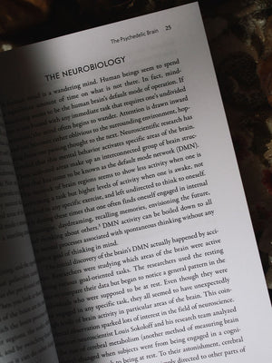 Grandmother Ayahuasca - Plant Medicine and the Psychedelic Brain