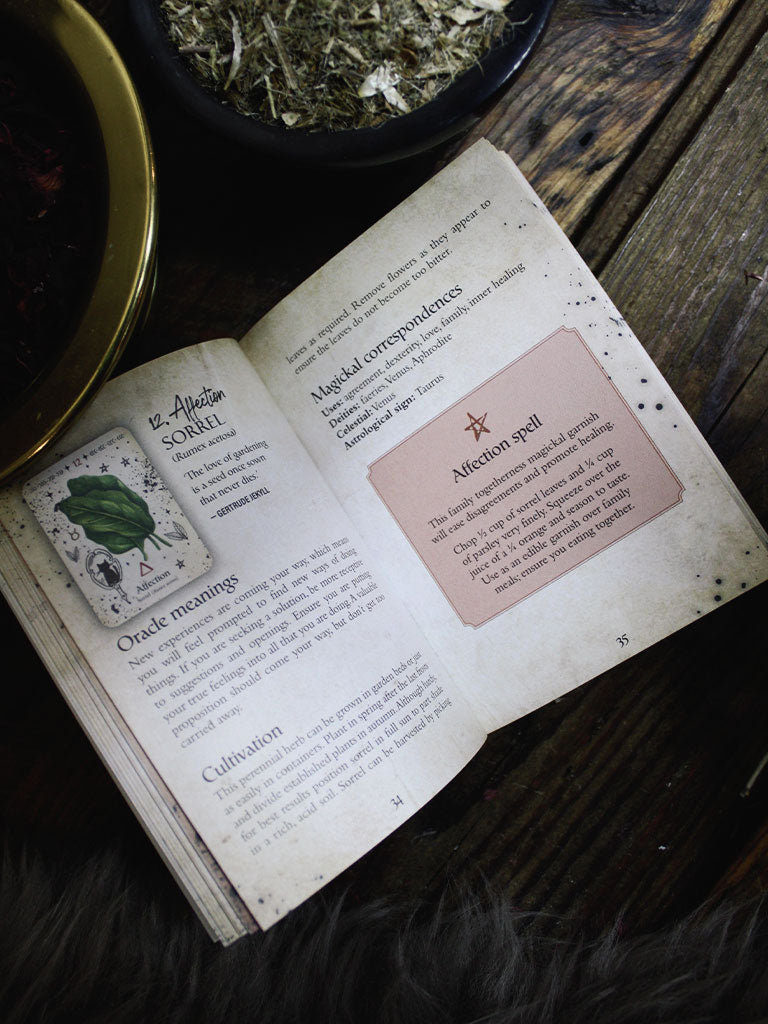 Green Witch Oracle Cards