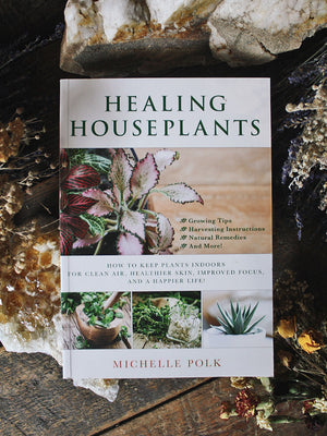 Healing Houseplants - How to Keep Plants Indoors