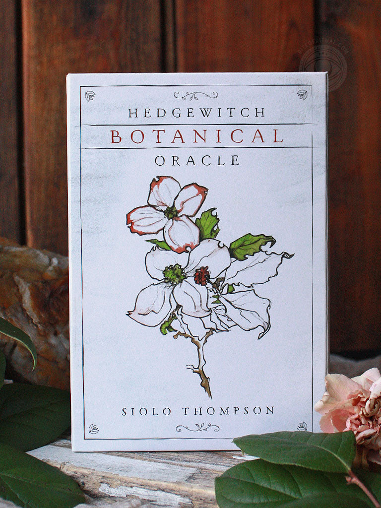 Hedgewitch Botanical Oracle Cards - Rite Of Ritual