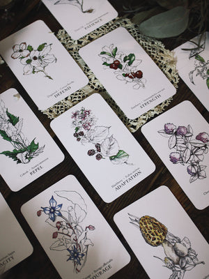 Hedgewitch Botanical Oracle Cards