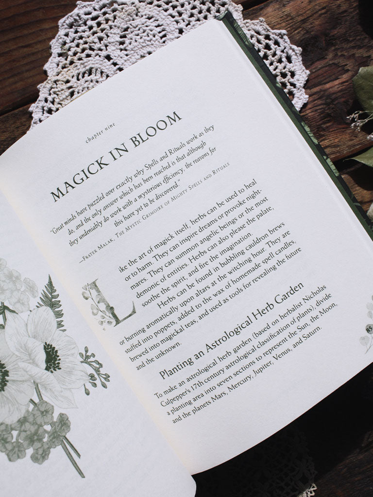 Herbal Magick a Witch's Guide