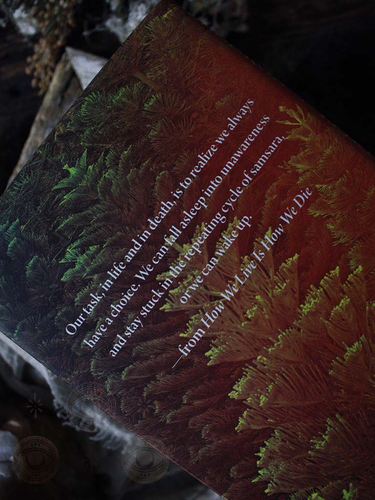 How We Live Is How We Die