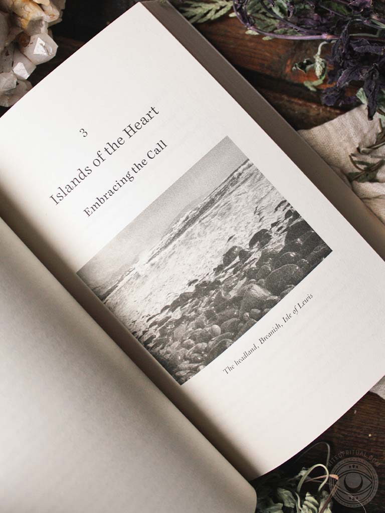 If Women Rose Rooted - A Life-changing Journey to Authenticity and Belonging