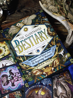Illustrated Bestiary Collectible Oracle Deck Box Set