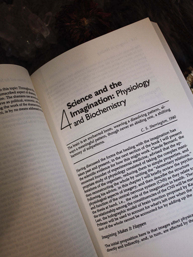 Imagery in Healing - Shamanism and Modern Medicine