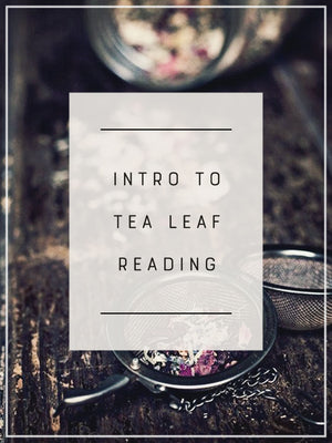 Intro to Tea Leaf Reading