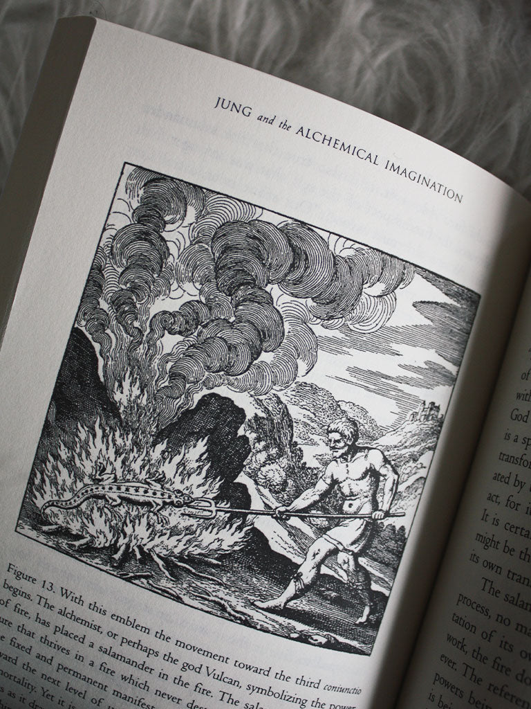 Jung and the Alchemical Imagination