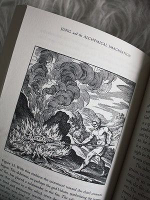 Jung and the Alchemical Imagination