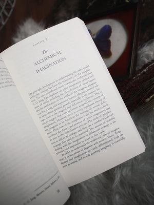 Jung and the Alchemical Imagination