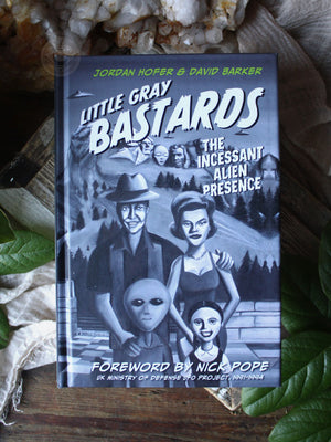 Little Gray Bastards - The Incessant Alien