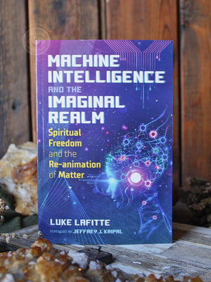 Machine Intelligence and the Imaginal Realm