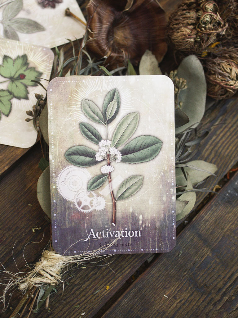 Magickal Herb Oracle