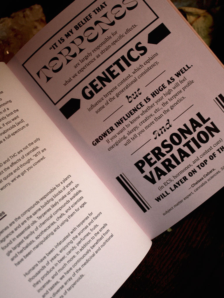 Merry Jane's CBD Solution - Sex