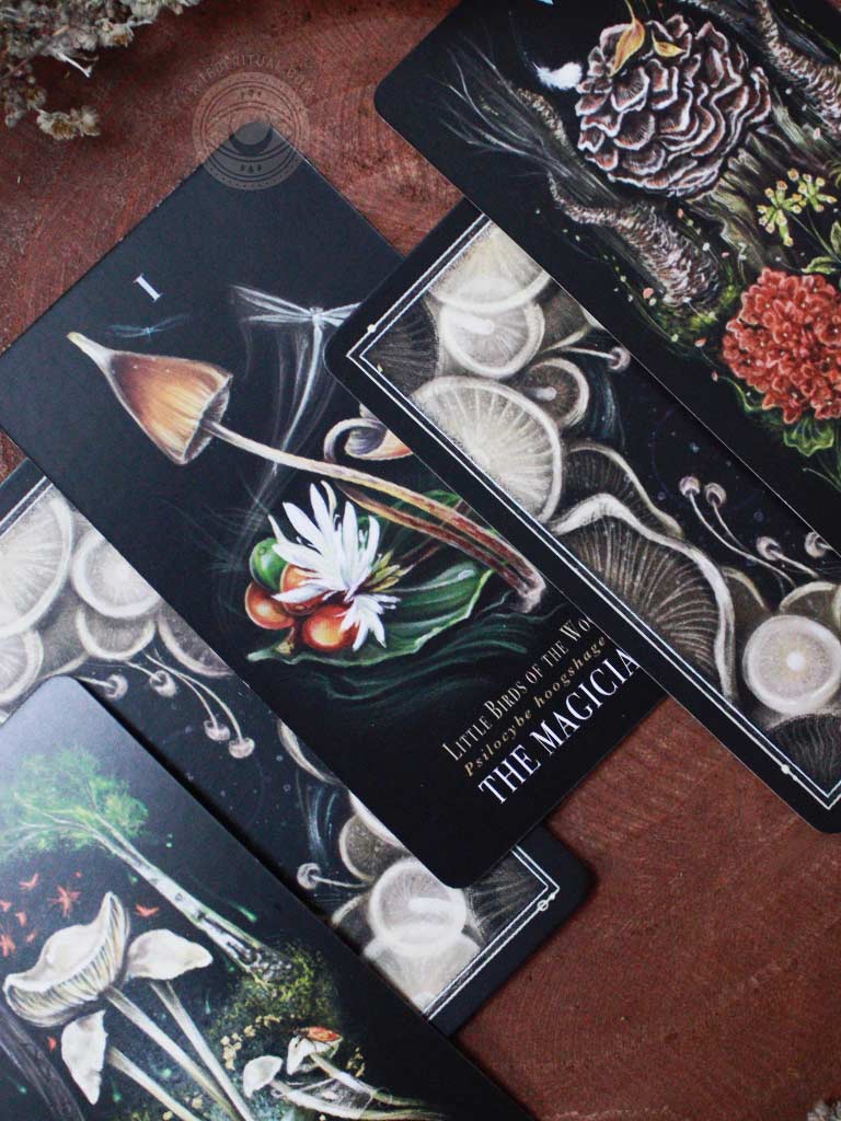 Midnight Magic Tarot - Rite of Ritual