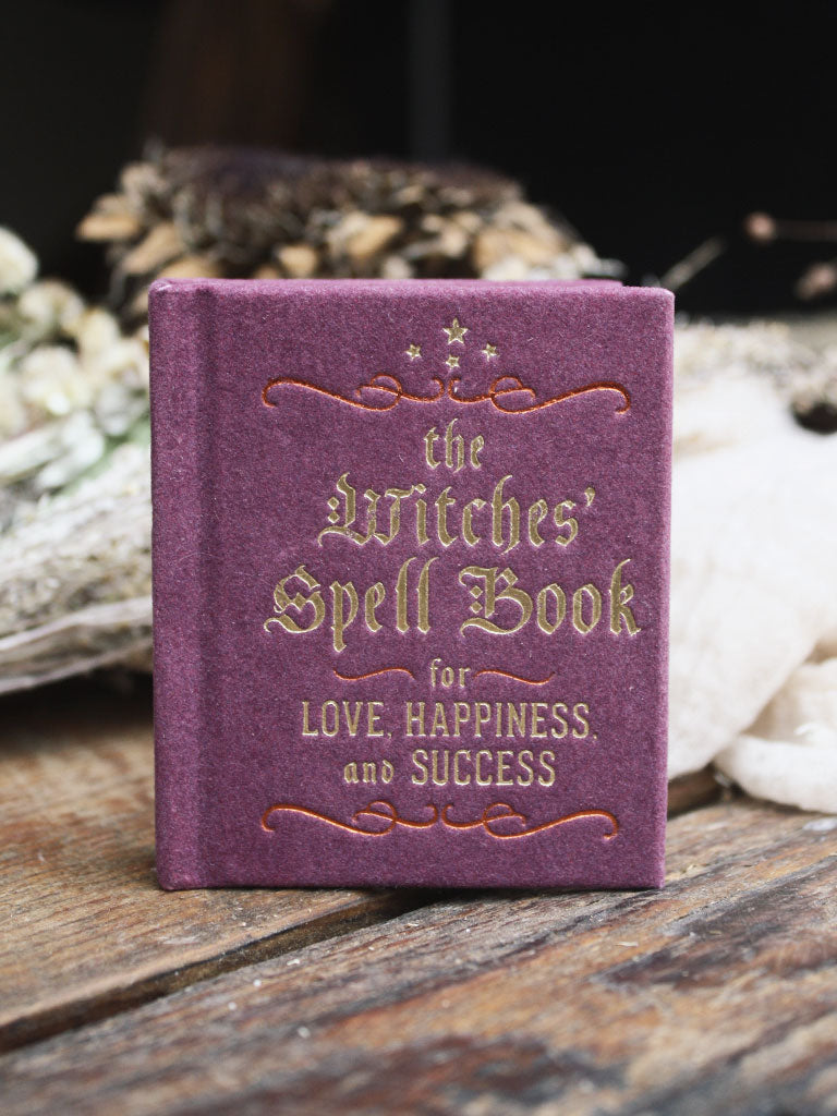 Mini Witches Spell Book