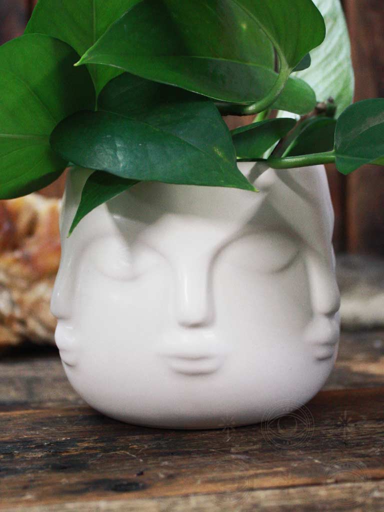 Multi-Face Ceramic Pot